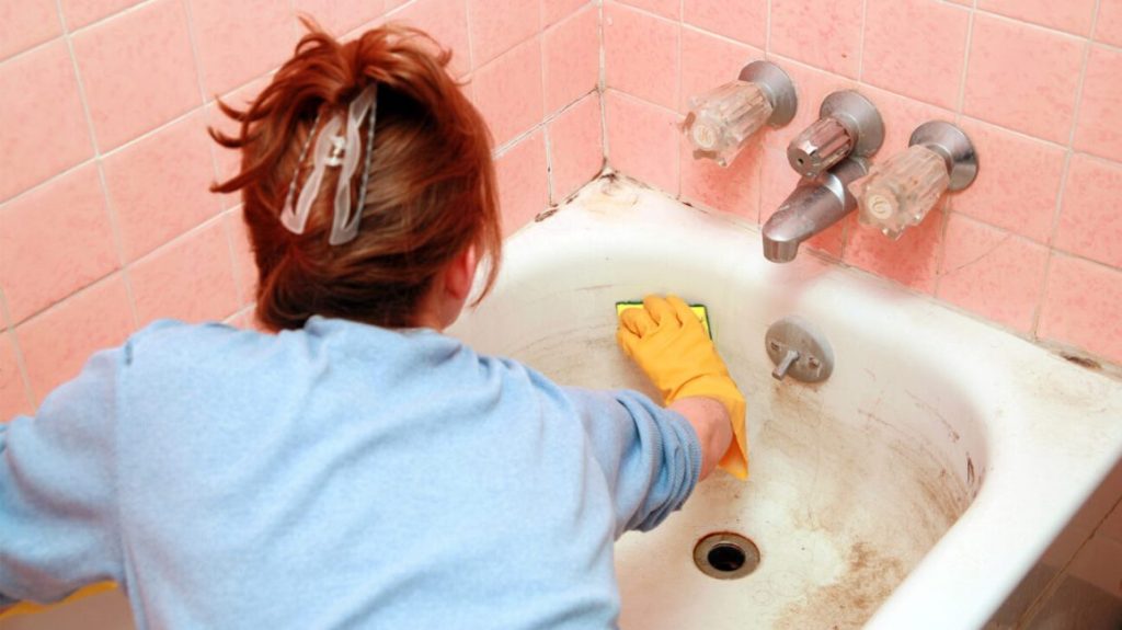 Understanding How Mold Works