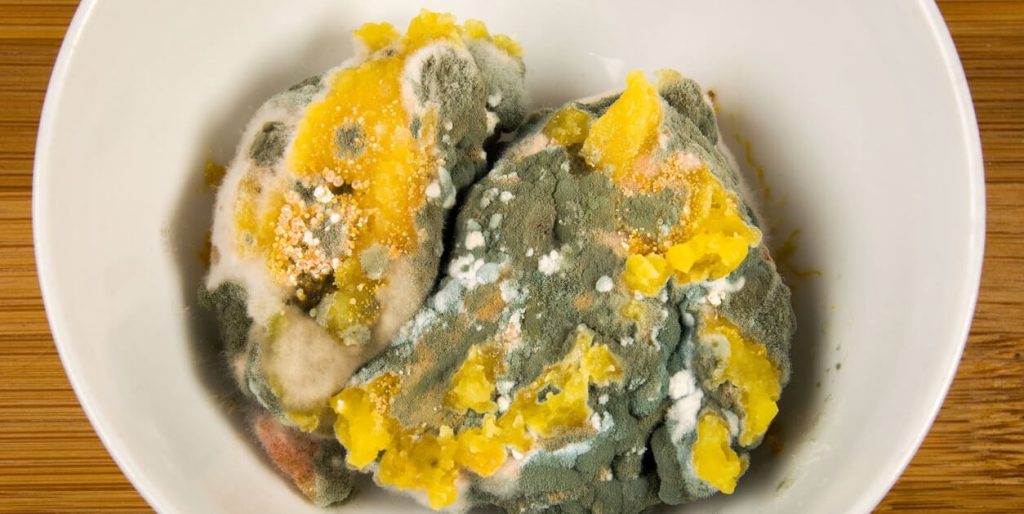What Mold Can You Eat With Visible Mold