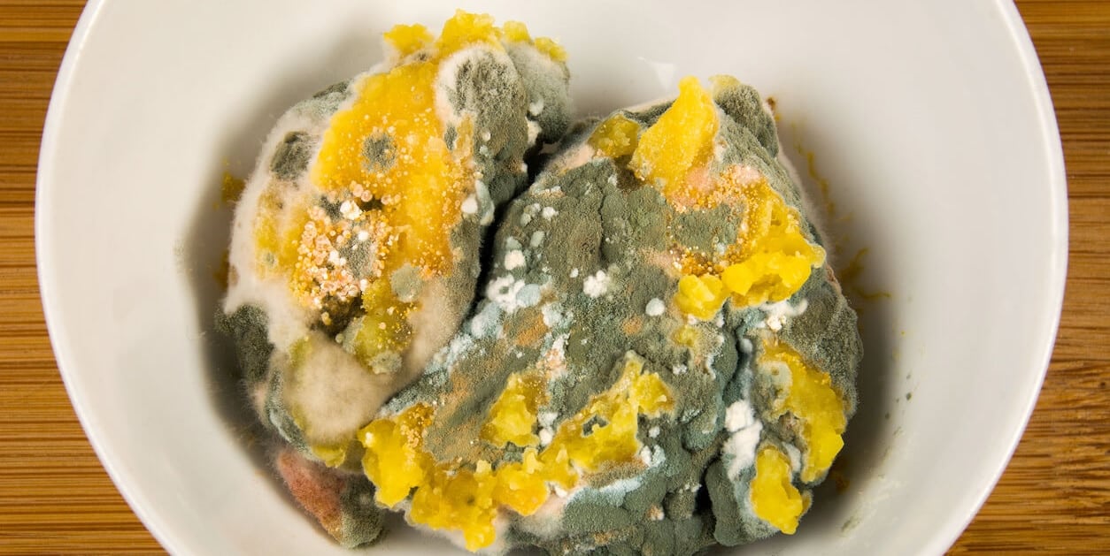 What Mold Can You Eat With Visible Mold