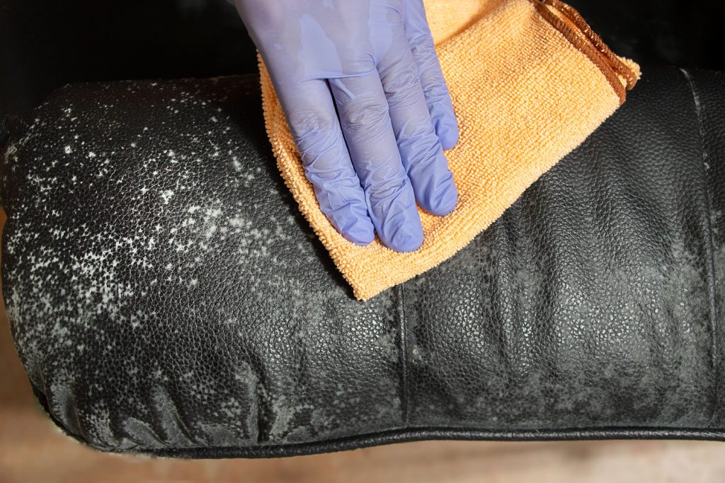 How To Remove Mold From Leather Couch