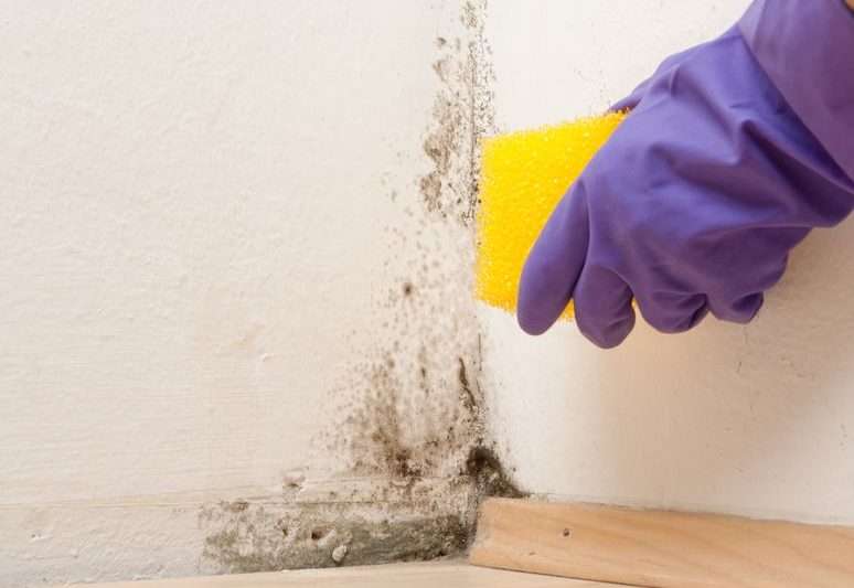 What A Mess Clear The Mold