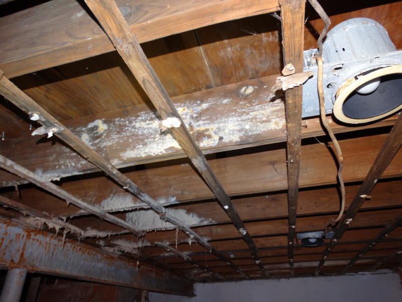 What To Spray On Mold On Floor Joists