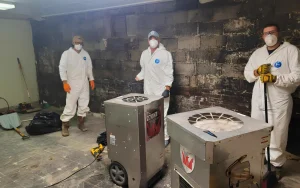 The Mold Patrol team hard at work in a home