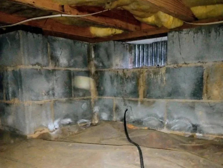 Significant crawlspace mold contamination
