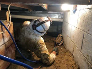 Mold Patrol conducting a crawlspace mold inspection