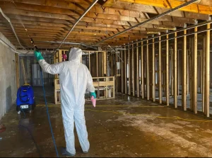 Mold Patrol treating joists to prevent future mold growth after remediation work in NC